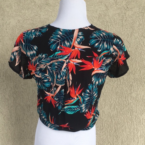 XIX Palms top - Picture 2 of 5